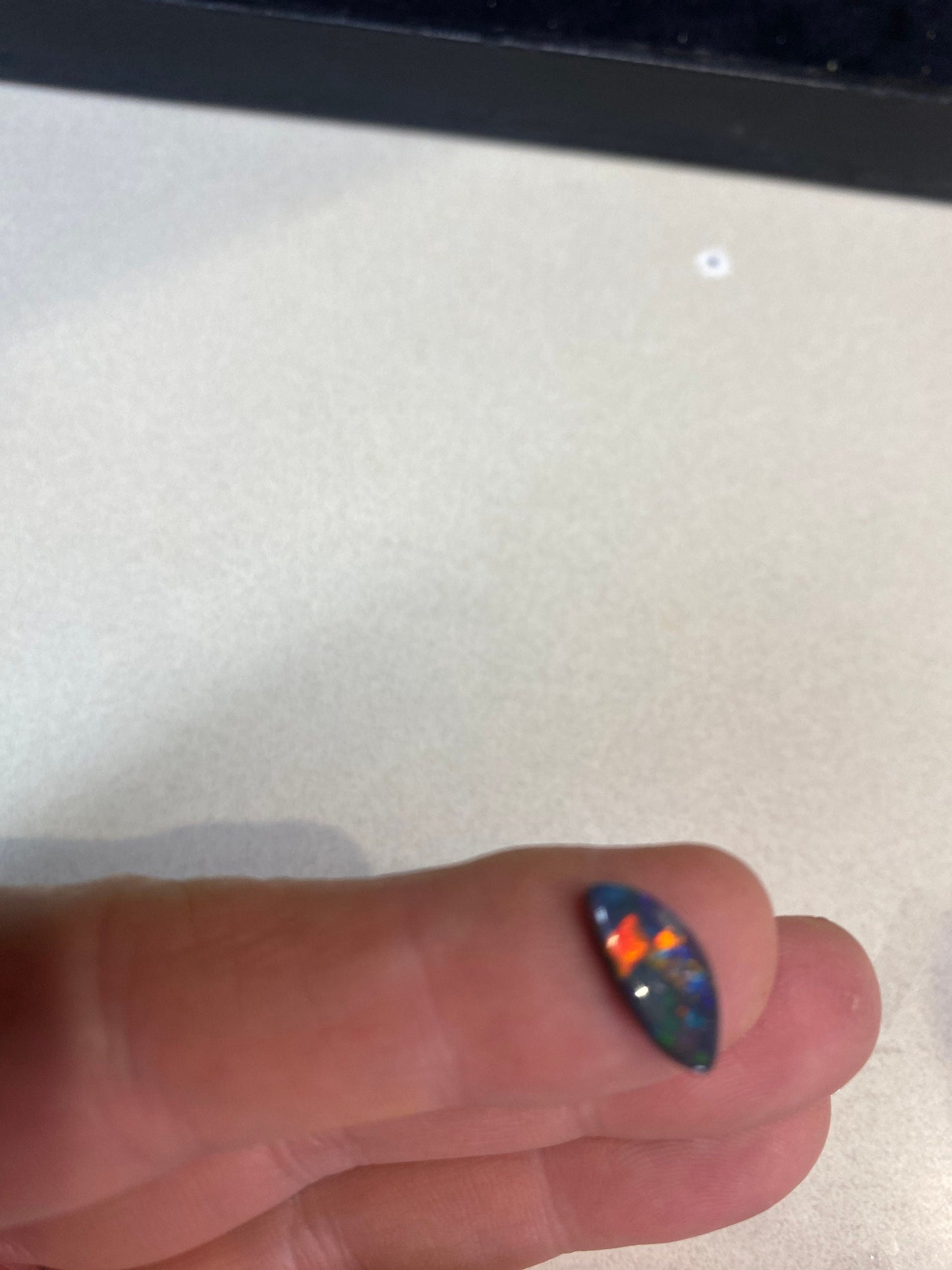 Super rare Harlequin pattern