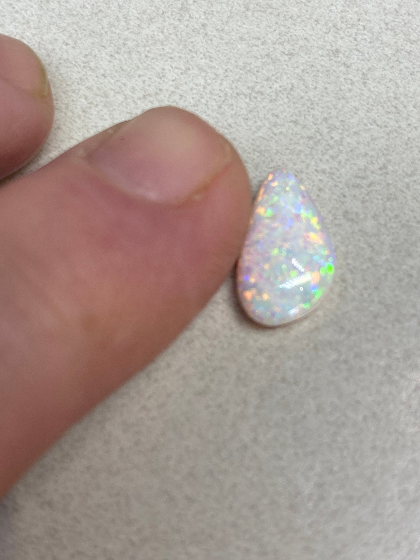 Super rare Harlequin pattern