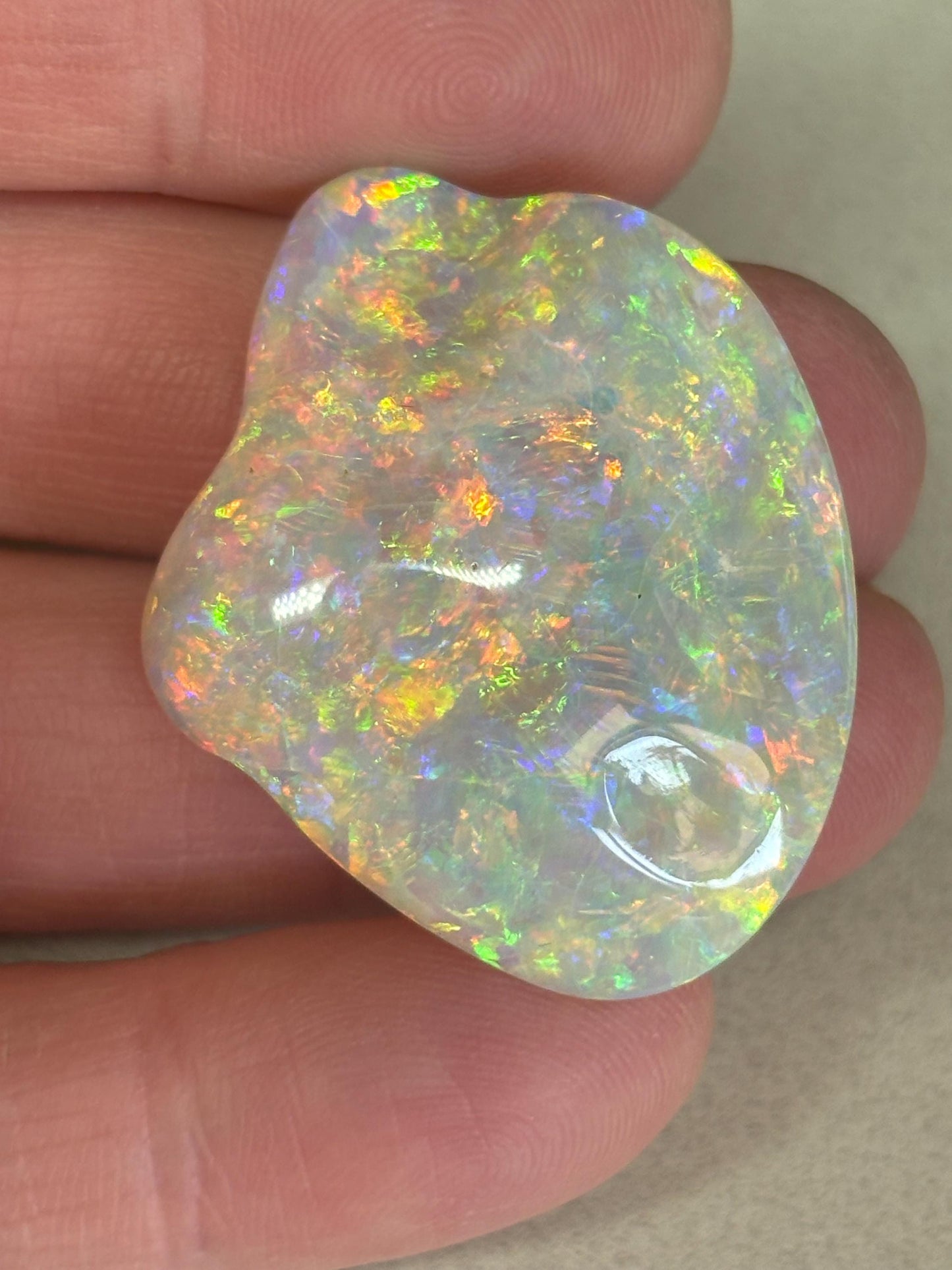 Opalised Fossil Shell - gem quality