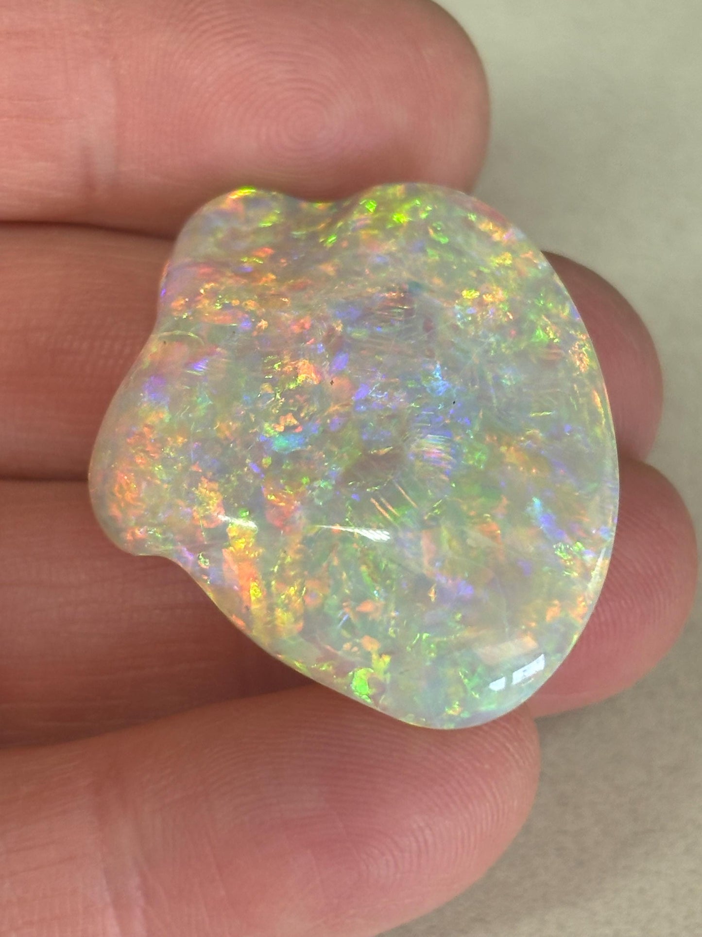 Opalised Fossil Shell - gem quality
