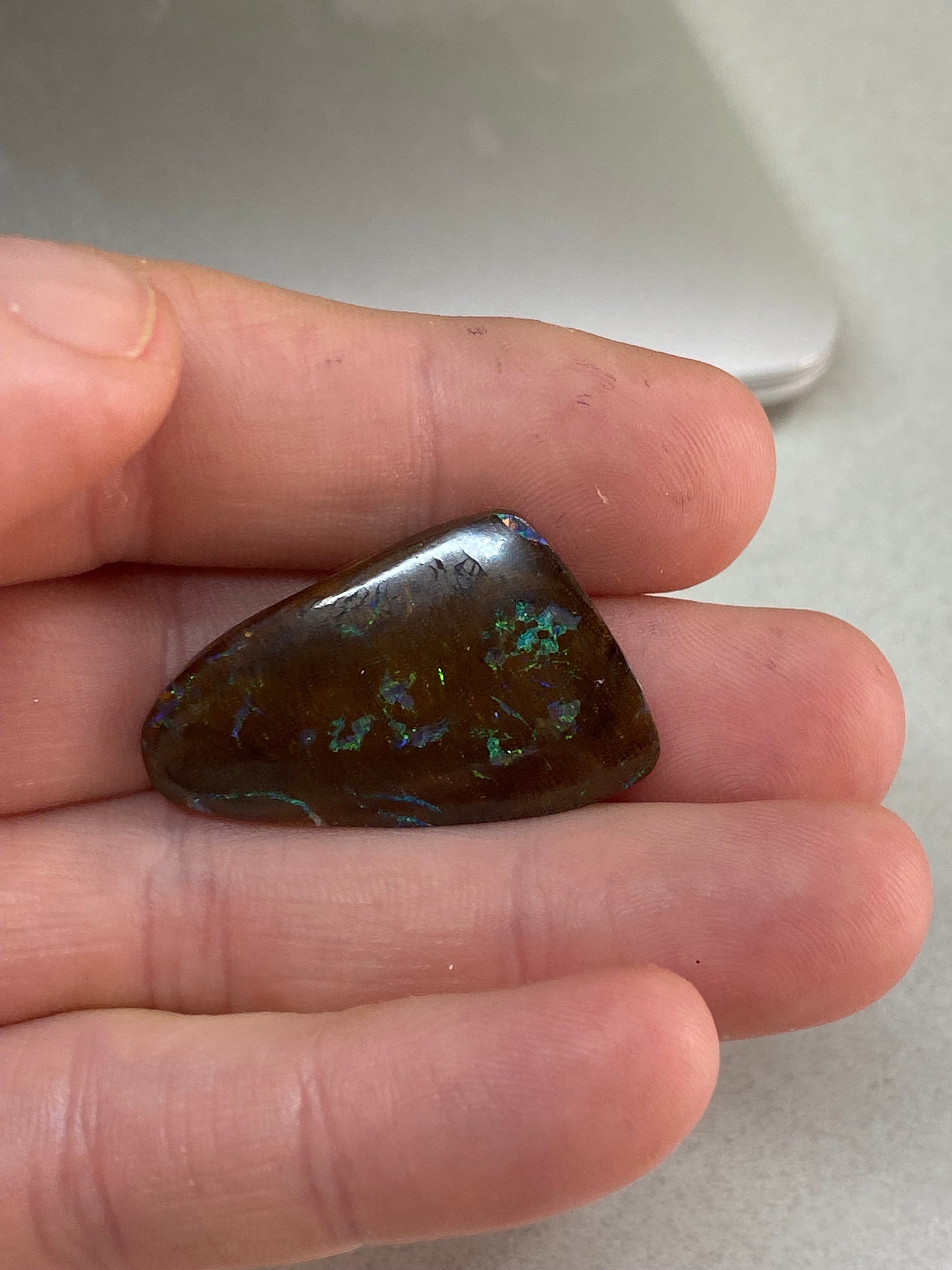 Boulder opal