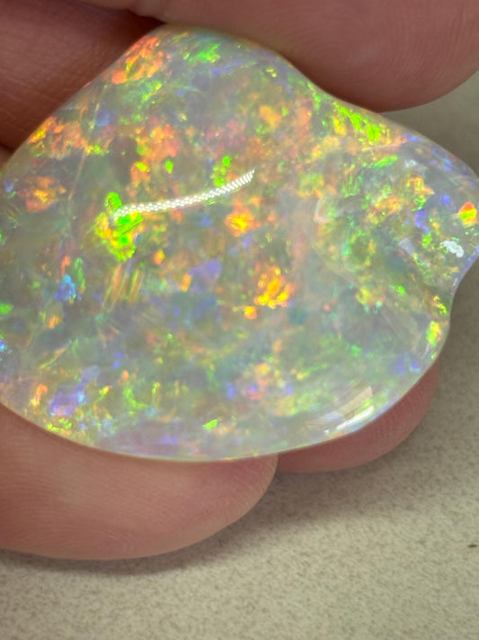 Opalised Fossil Shell - gem quality