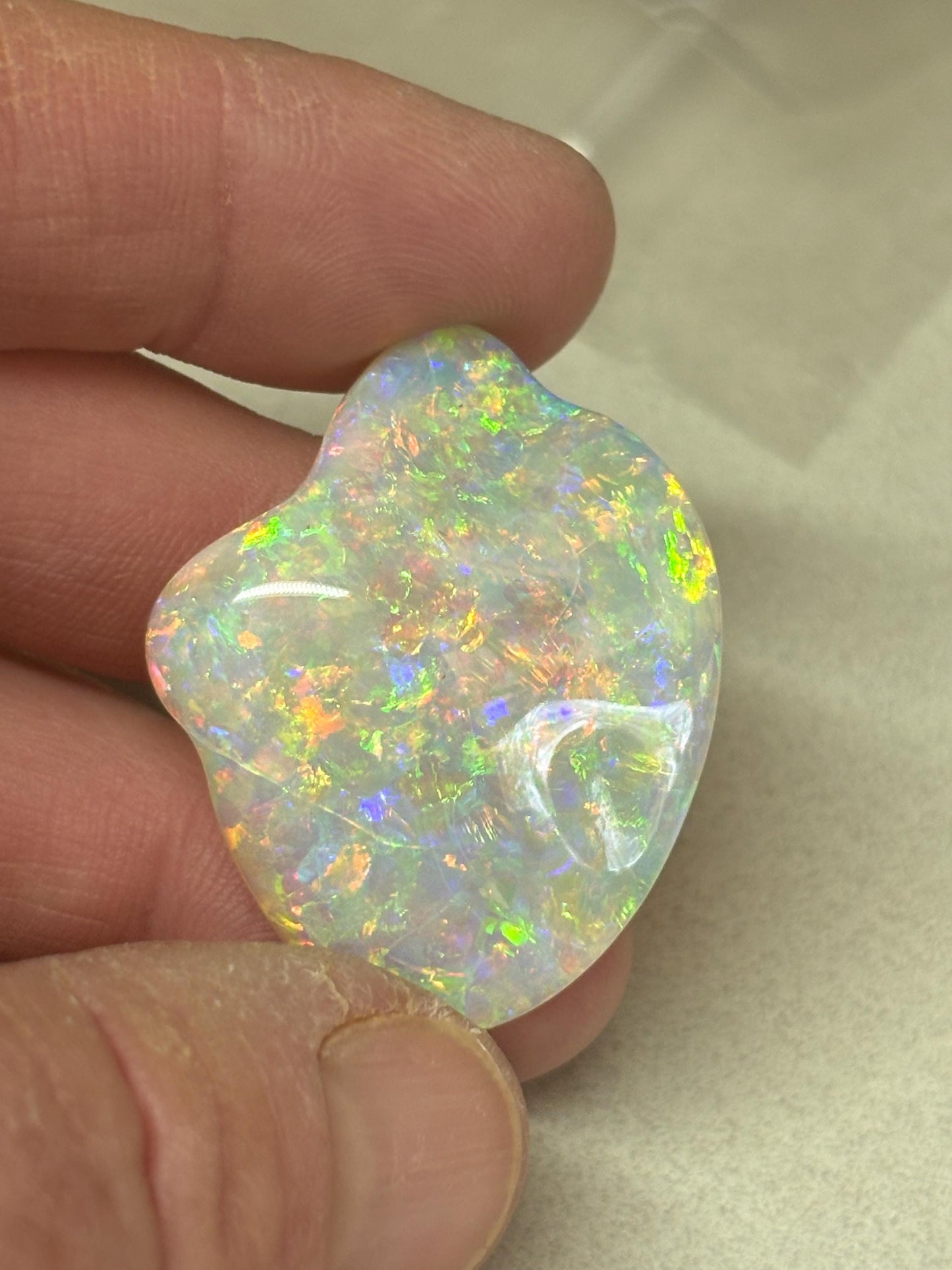 Opalised Fossil Shell - gem quality