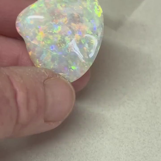 Opalised Fossil Shell - gem quality