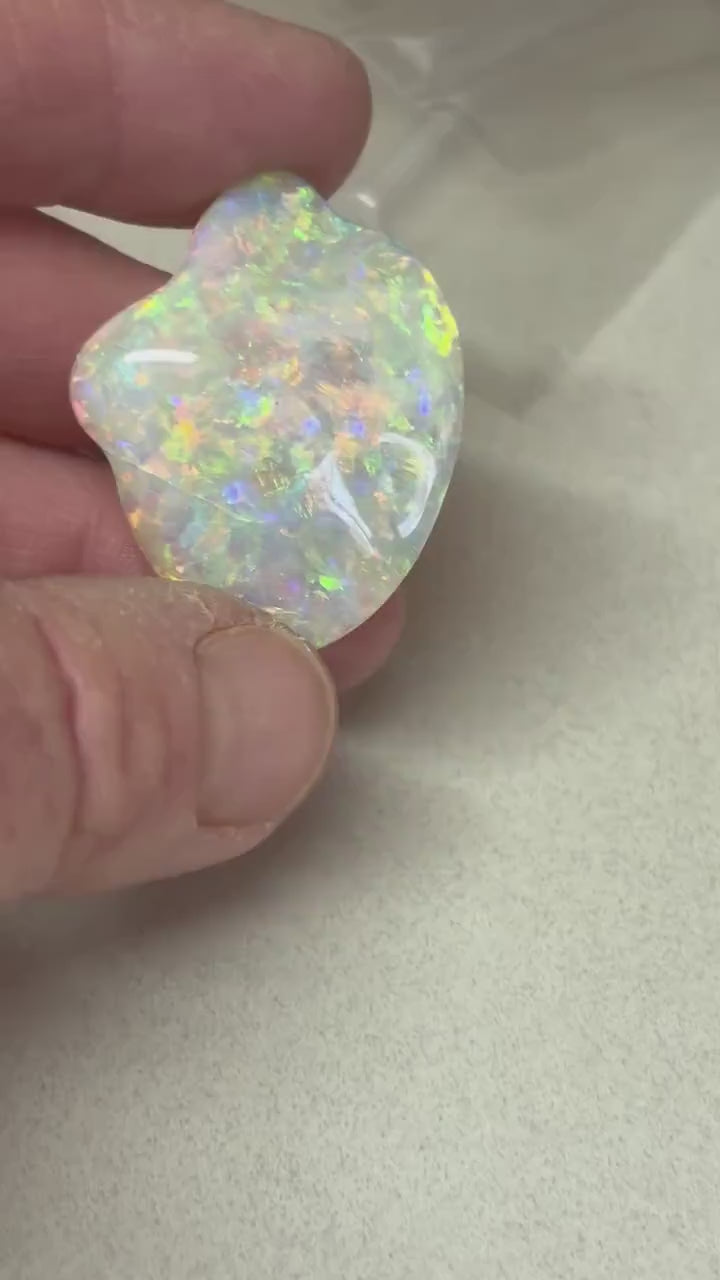 Opalised Fossil Shell - gem quality