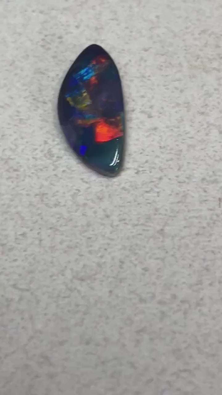 Super rare Harlequin pattern